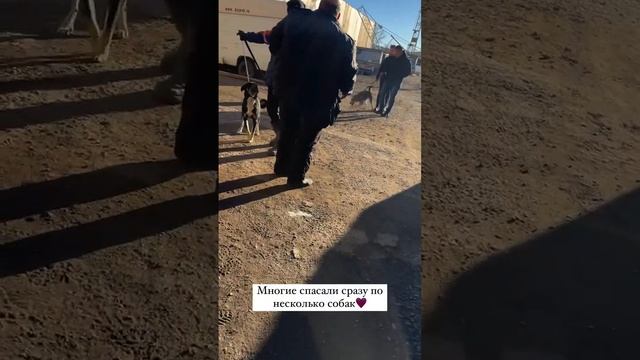 Почему нет законов на спасение, а есть только на убийс? смотреть онлайн