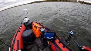 СУДАК ОСЕНЬЮ НА ВИБЫ ЛОВИТСЯ КАЙФОВО, А С ПАНОПТИКСОМ ?