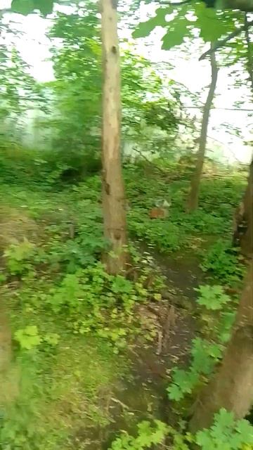 Калининград смотреть онлайн