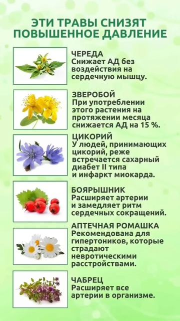 28 марта 2025 г.