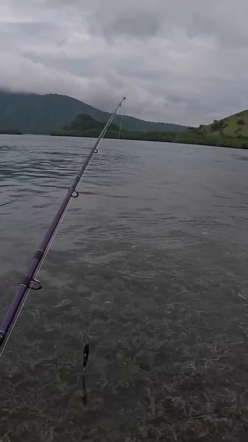 Остался ЖИТЬ на НЕОБИТАЕМОМ ОСТРОВЕ. ВЫЖИВАНИЕ 24 ЧАСА смотреть онлайн