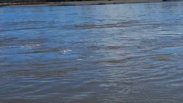 Север Чукотка #лето2024 #рыбалка на Чукотке #крайземли  #?