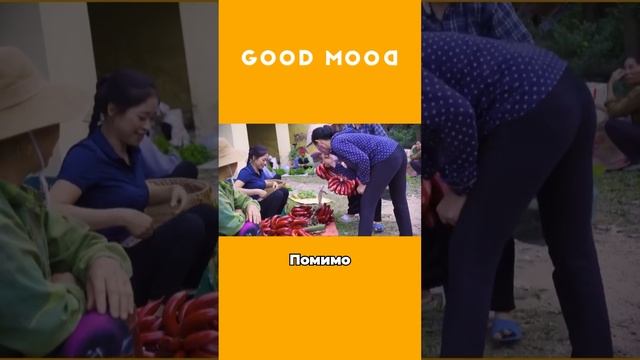 Красные бананы😱 #shorts #факты #топ #новости #тренды #еда # смотреть онлайн