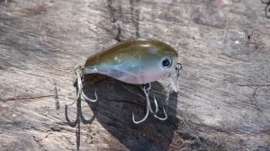 РАЗГОВОР! ВОБЛЕРЫ НА ГОЛАВЛЯ! ОБЩЕЕ, СНАСТИ, ПРИМАНКИ, ?