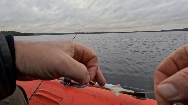 РЫБАЛКА С ЛОДКИ, ЗАВЕРШАЕМ ЛЕТНИЙ СЕЗОН.