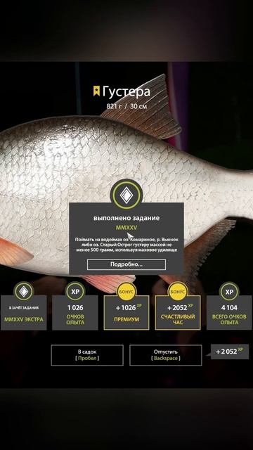 Где поймать трофейную густеру на Вьюнке #fishing #carpfishing #p смотреть онлайн