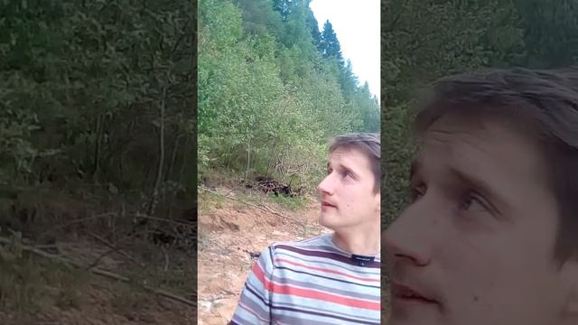 Дима Брагин и Воронцов Дмитрий автостопом и пешком смотреть онлайн