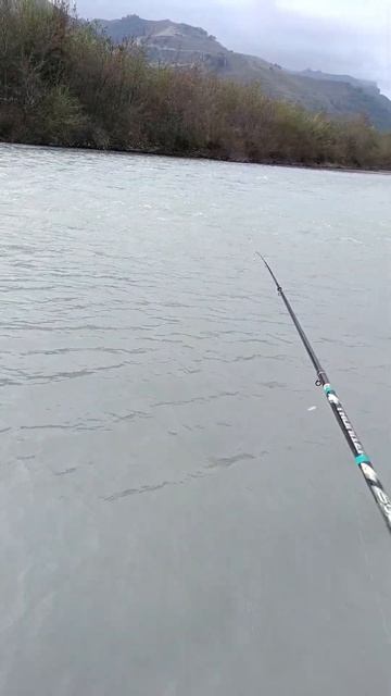 #fishing #поход #рыбалка #trout смотреть онлайн