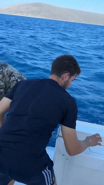 Морская рыбалка в Турции #морскаярыбалка #море #эгейск