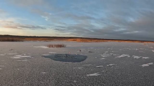 ПЕРЕСТАВИЛИ ЖЕРЛИЦЫ В УЮТНУЮ БУХТУ И ВСЕ ЗАГОРЕЛОСЬ! З смотреть онлайн