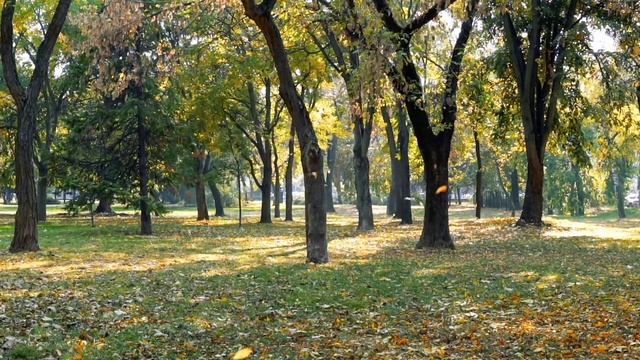 Максим Рильський "Тиха, задумлива осінь спускається...". Аудіокнига. Читання 3 клас НУШ (Савченко). смотреть онлайн