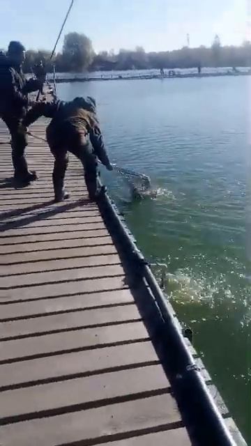 РК Три Пескаря! Video 2024 10 20 at 10 49 42 смотреть онлайн