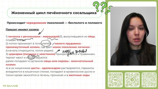 Цикл печеночного сосальщика для ЕГЭ | Биология 10 класс