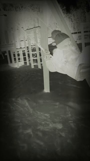 Страшное видео,, Призрак катается на качели"😂👻👌🏻 смотреть онлайн