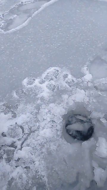 Открыл сезон зимней рыбалки 2023 смотреть онлайн