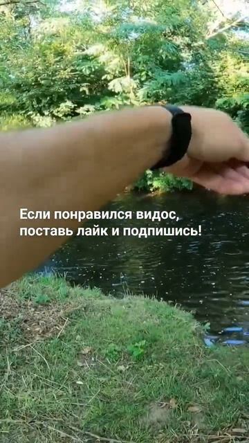 Рыбалка на спиннинг в августе! #рыбалка2023 #shorts #fishing