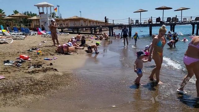 Турция. Отель Venezia Palace. Пляж и бассейны. смотреть онлайн