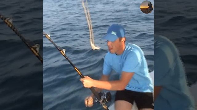 Морская рыбалка в Дубае троллингом #рыбалка #морскаяр? смотреть онлайн