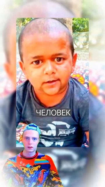 Копия Хасбика в Индии, есть продолжение из Африки. Ста? смотреть онлайн