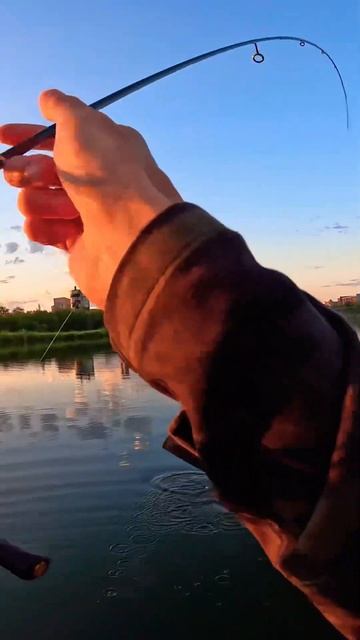 Рыбалка EverGreen Poseidon PSSS-610S. #fishing #poseidon #evergreen