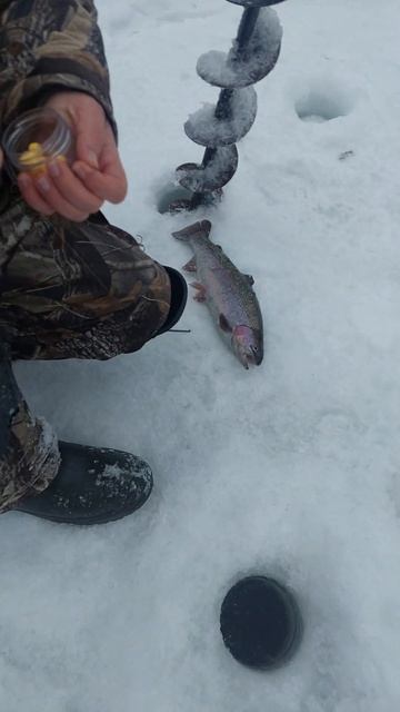 Голицыно Fish (2) смотреть онлайн