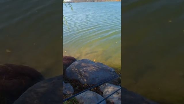 УСИЛИЕ #рекомендации #лучшая #удочка #ловля #рыбалка #с? смотреть онлайн