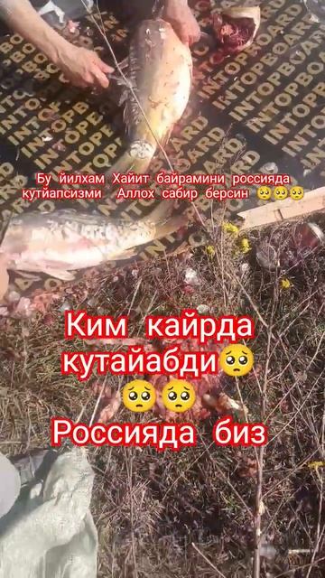 Ким кайрда кутаябди бу йил хам россияда кутаябмиз🥺 #uz
