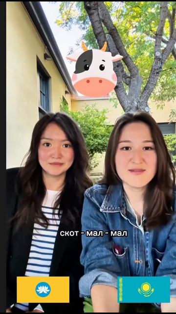 Казахский и Калмыцкий языки 🇲🇳 - 🇰🇿 Казашка и калм? смотреть онлайн
