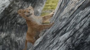 Муфаса: Король Лев - Я так всегда хотел брата | Полная к?