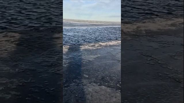 Вот так бывает, Корюшка отменяется. #fishing #рыбалка #зимн смотреть онлайн