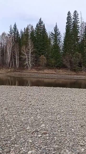 #рыбалка #речка #природа смотреть онлайн