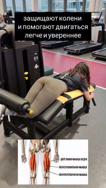 Тренировка задней поверхности ног. Лучшее упражнение смотреть онлайн