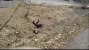 25 17 Русская