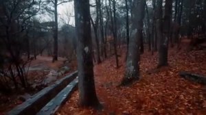 Очень красивое чтение Корана | АбдуРахман Масад