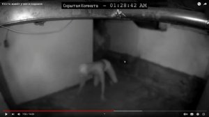 у нее в подвале кто-то живёт