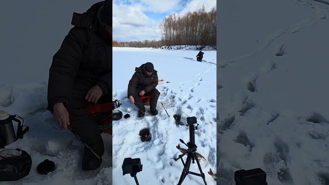 Рыбалка на 3 Камеры |рыбалка в России | #fishing #рыбалка #sho смотреть онлайн