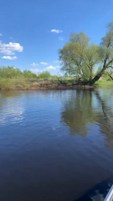Амур-М Тохатсу-120,Великий Новгород,река Малый Волховец смотреть онлайн