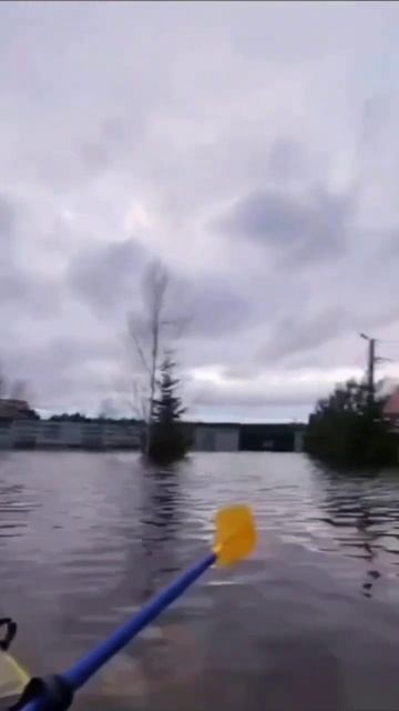 ⛵️ В Химках жители из-за потопа передвигаются на лодк смотреть онлайн