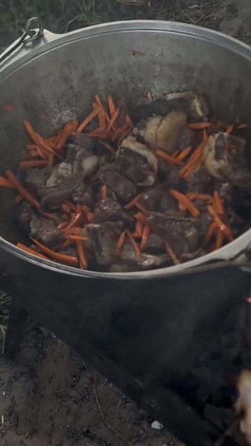 Зову, все на работе! #отдых #мангал #плов #отдыхсемьёй #ш смотреть онлайн