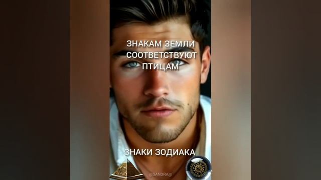 Знаки земли соответствуют следующим птицам #гороскоп? смотреть онлайн