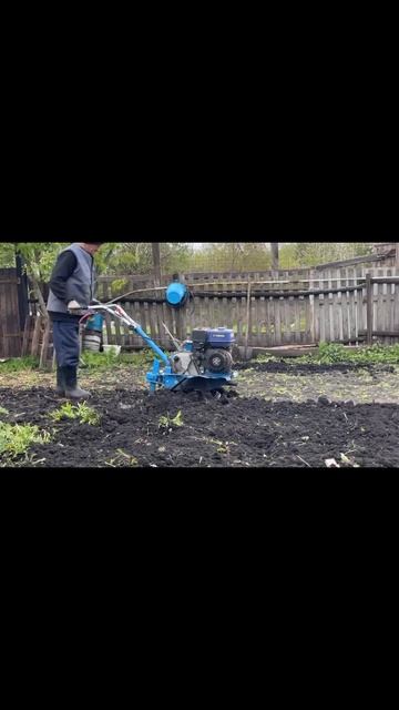 Земля ещё не совсем просохла, но мотоблок прёт 💪💪💪