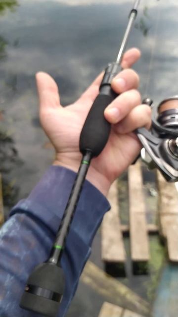 АНОНС ПОСТУПЛЕНИЯ СПИННИНГОВ! Fario и другие спиннинги С смотреть онлайн