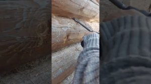 Канапатим с перфоратором