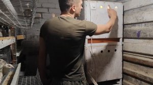 Брудер для перепелов своими руками: просто, дешево, эф?