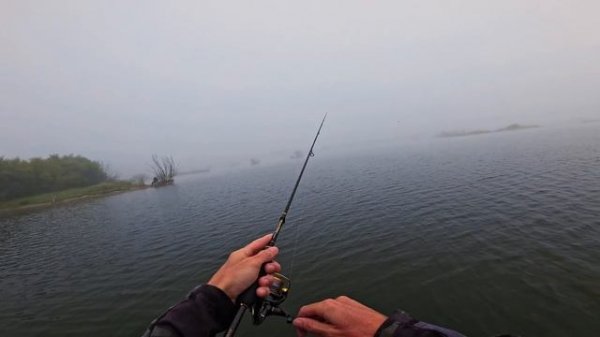 Супер клёв окуня на EverGreen Poseidon Salty Sensation PSSS-610S Limber Tip.