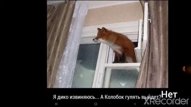 раздел смешно в Pinterest