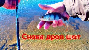 РЫБАЛКА НА РЕКЕ | ОКУНЬ НА ДРОП-ШОТ