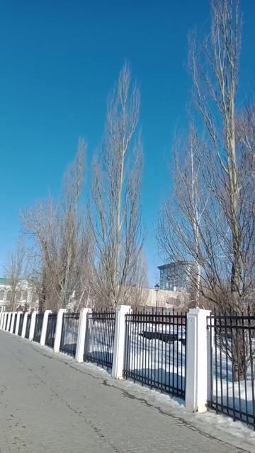 Городские ели смотреть онлайн