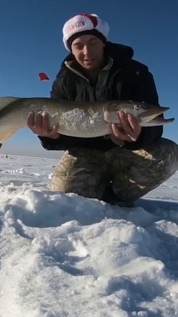 Самые крупные уловы 2025 года смотреть онлайн