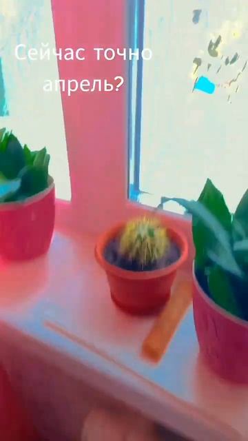 а к вас есть снег ❄️ смотреть онлайн